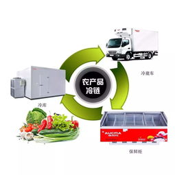 農業企業如何借助物聯網技術服務打造農產品數字生態供應鏈